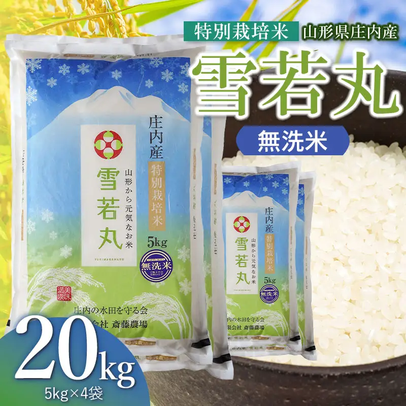 【令和8年産 新米】 特別栽培米 雪若丸 無洗米 20kg（5kg×4袋） 山形県鶴岡市 K-8165 斎藤農場