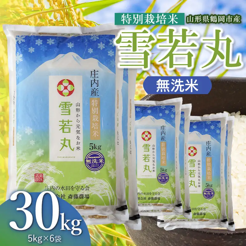 【令和8年産 新米】 特別栽培米 雪若丸 無洗米 30kg（5kg×6袋） 山形県鶴岡市 K-8240 斎藤農場