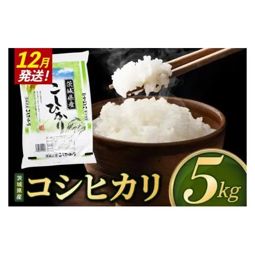 米 コシヒカリ 精米 5kg 令和8年産 茨城県産 お米 こめ コメ ごはん 白米 こしひかり 茨城県産米 単一米 単一原料米 安心 安全 送料無料 国産 人気 数量限定 （85-R8i025_12）