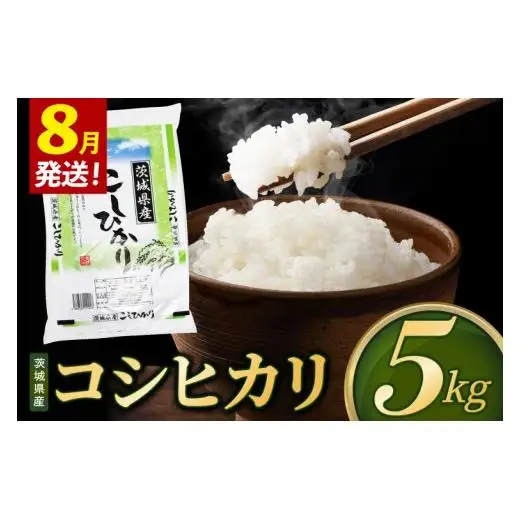 米 コシヒカリ 精米 5kg 令和8年産 茨城県産 お米 こめ コメ ごはん 白米 こしひかり 茨城県産米 単一米 単一原料米 安心 安全 送料無料 国産 人気 数量限定 （85-R8i025_08）
