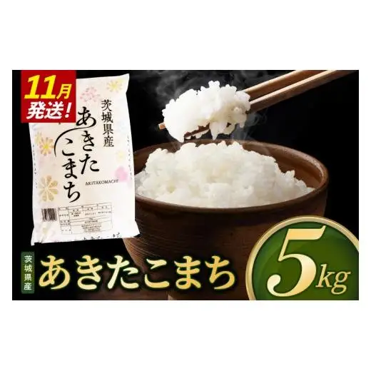 米 あきたこまち 精米 5kg 令和8年産 茨城県産 お米 こめ コメ ごはん 白米 アキタコマチ 茨城県産米 単一米 単一原料米 安心 安全 送料無料 国産 人気 数量限定 （85-R8i133_11）