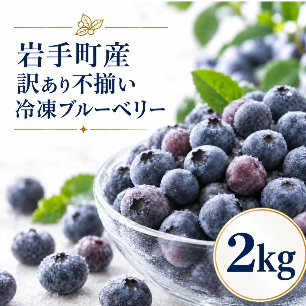ブルーベリー 冷凍 訳あり 2kg フルーツ ベリー 果物 先行予約 2027年発送