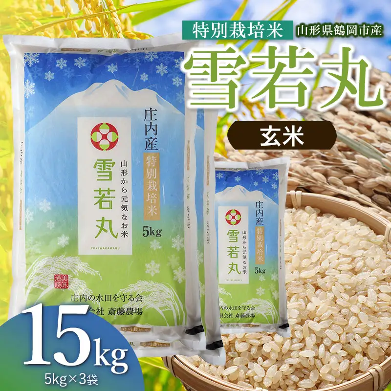 【令和8年産 新米】 特別栽培米 雪若丸 玄米 15kg（5kg×3袋） 山形県鶴岡市 K-8111 斎藤農場
