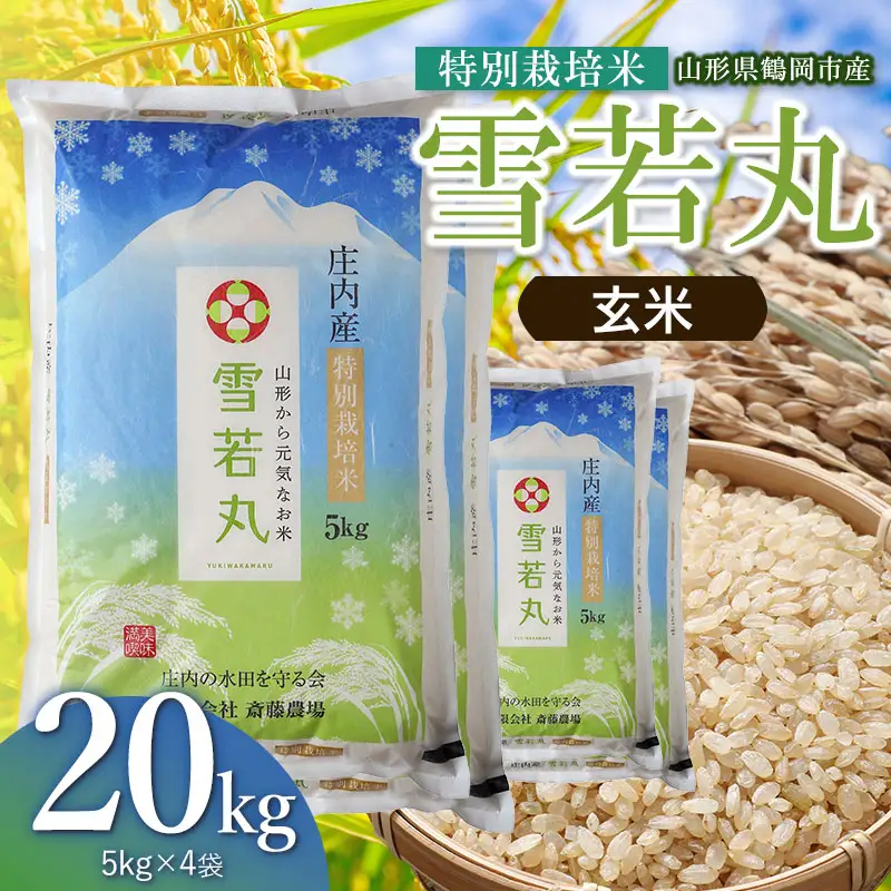 【令和8年産 新米】 特別栽培米 雪若丸 玄米 20kg（5kg×4袋） 山形県鶴岡市 K-8150 斎藤農場