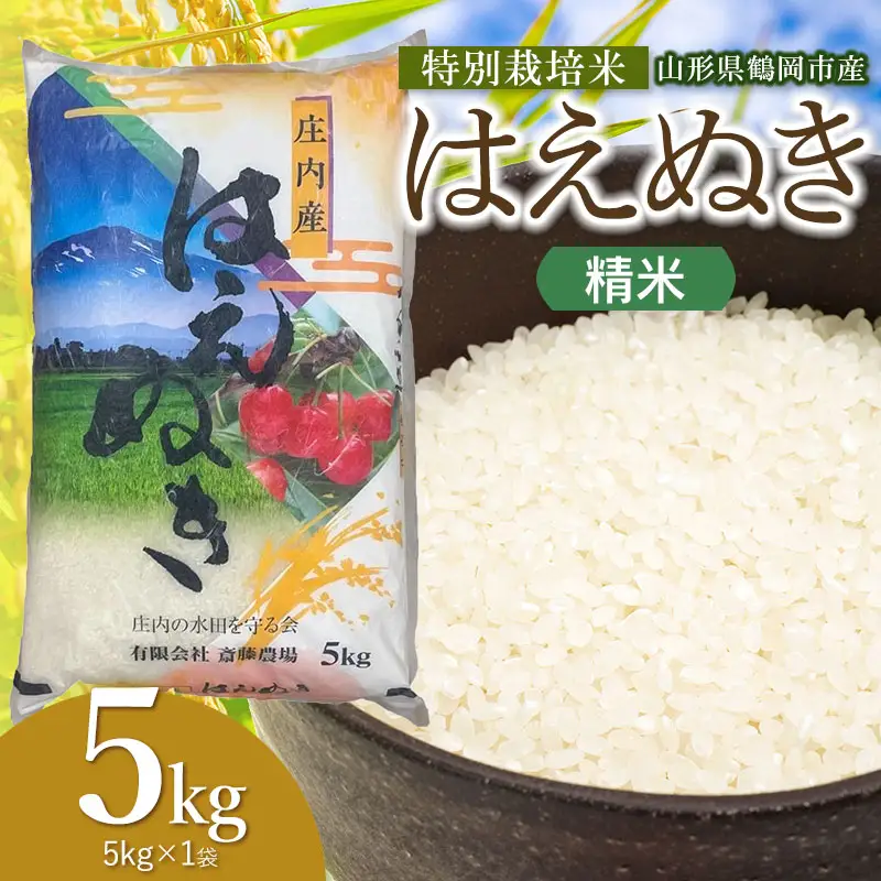 【令和8年産 新米】 特別栽培米 はえぬき 精米 5kg(5kg×1袋) 山形県鶴岡市 K-837 斎藤農場