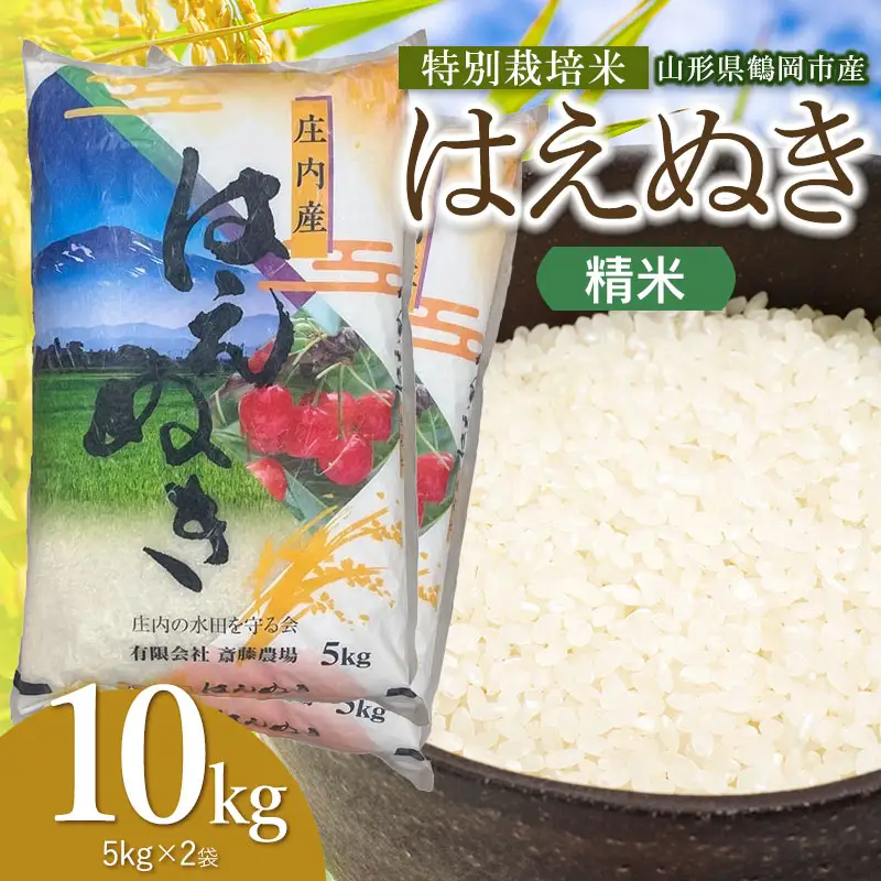 【令和8年産 新米】 特別栽培米 はえぬき 精米 10kg（5kg×2袋） 山形県鶴岡市 K-875 斎藤農場