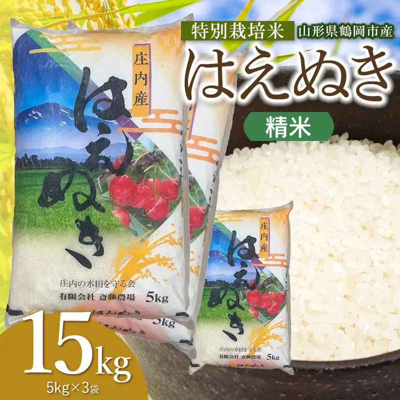 【令和8年産 新米】 特別栽培米 はえぬき 精米 15kg（5kg×3袋） 山形県鶴岡市 K-8111 斎藤農場
