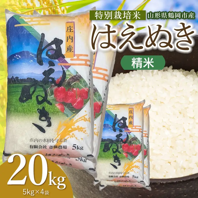 【令和8年産 新米】 特別栽培米 はえぬき 精米 20kg（5kg×4袋） 山形県鶴岡市 K-8150 斎藤農場