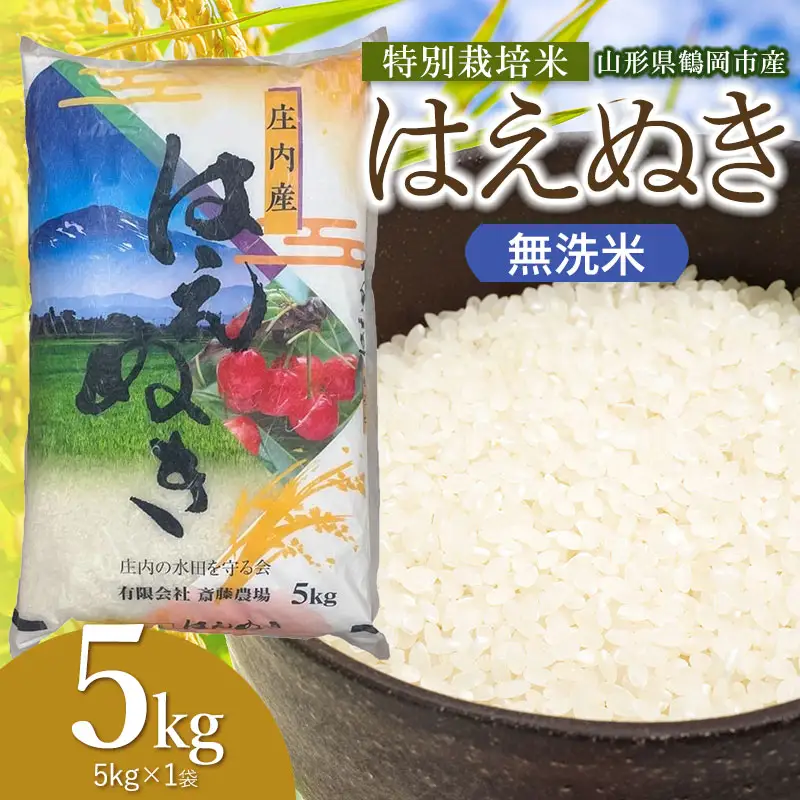 【令和8年産 新米】 特別栽培米 はえぬき 無洗米 5kg(5kg×1袋) 山形県鶴岡市 K-837 斎藤農場
