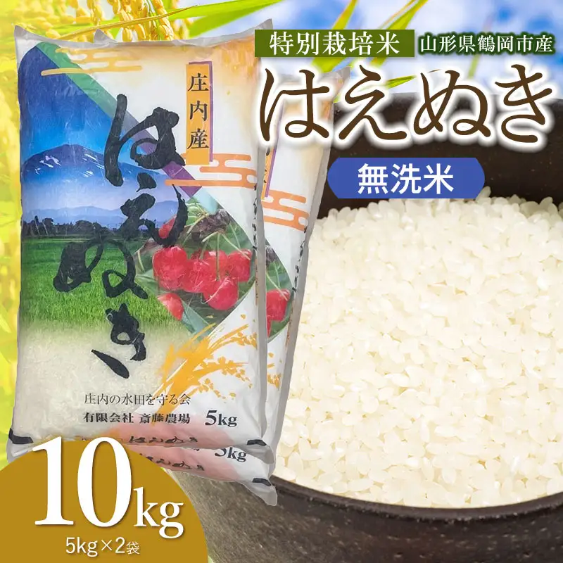 【令和8年産 新米】 特別栽培米 はえぬき 無洗米 10kg（5kg×2袋） 山形県鶴岡市 K-875 斎藤農場