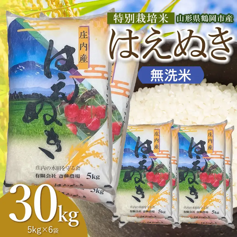 【令和8年産 新米】 特別栽培米 はえぬき 無洗米 30kg（5kg×6袋） 山形県鶴岡市 K-8222 斎藤農場