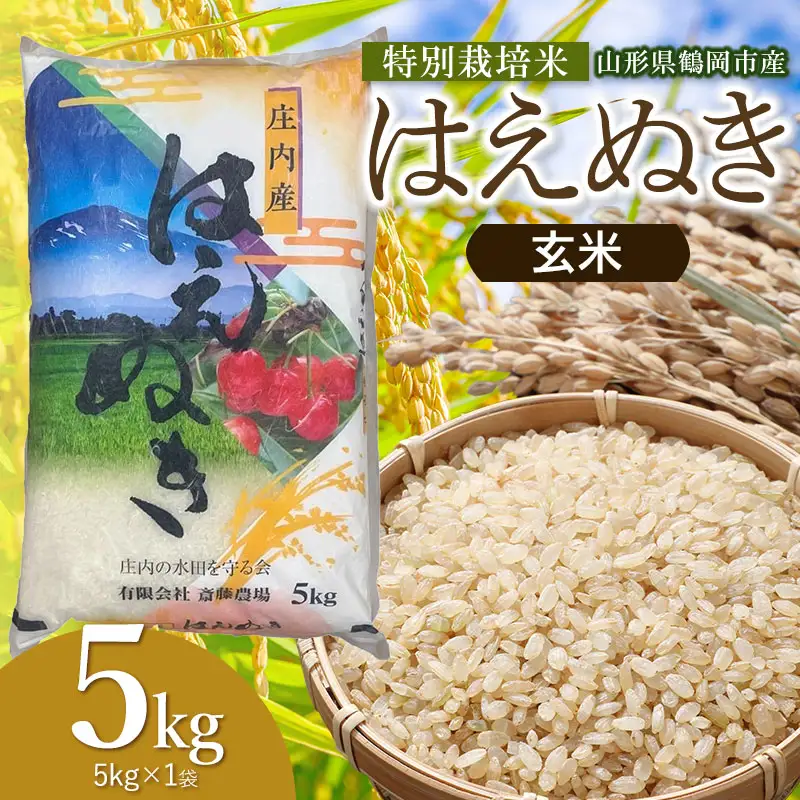 【令和8年産 新米】 特別栽培米 はえぬき 玄米 5kg(5kg×1袋) 山形県鶴岡市 K-834 斎藤農場