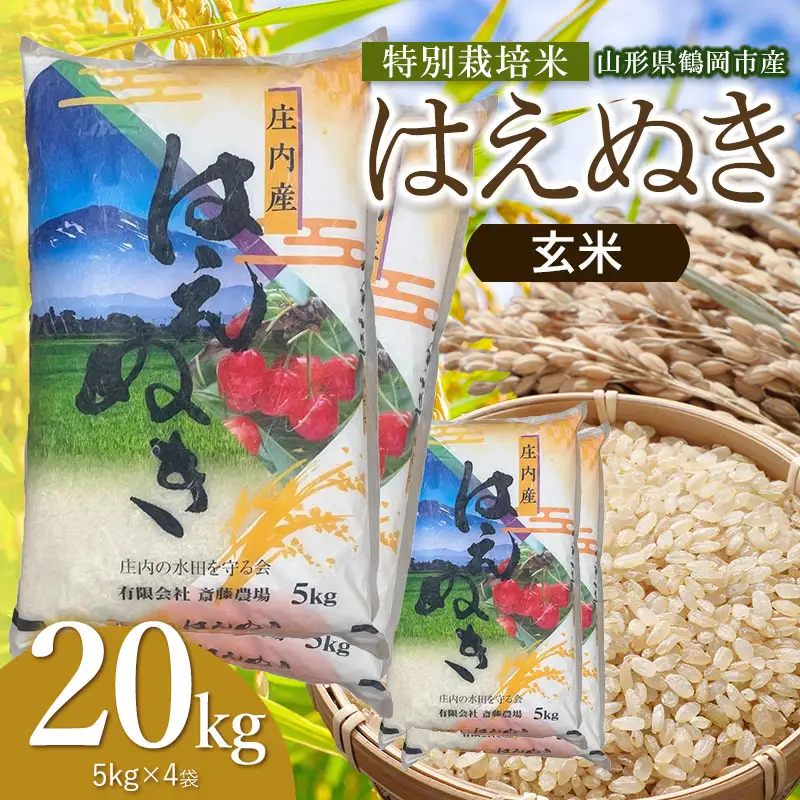 【令和8年産 新米】 特別栽培米 はえぬき 玄米 20kg（5kg×4袋） 山形県鶴岡市 K-8138 斎藤農場
