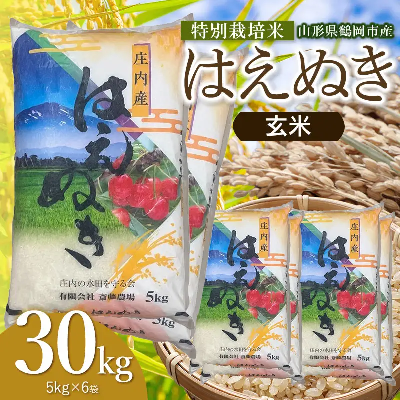 【令和8年産 新米】 特別栽培米 はえぬき 玄米 30kg（5kg×6袋） 山形県鶴岡市 K-8204 斎藤農場