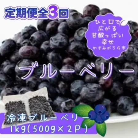 【毎月定期便】冷凍ブルーベリー1kg(500g×2パック)全3回【配送不可地域：離島】【4092938】