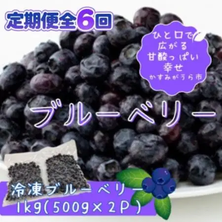 【毎月定期便】冷凍ブルーベリー1kg(500g×2パック)全6回【配送不可地域：離島】【4092939】
