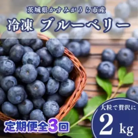 【毎月定期便】冷凍ブルーベリー2kg(500g×4パック)全3回【配送不可地域：離島】【4092941】