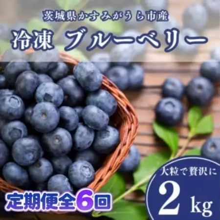 【毎月定期便】冷凍ブルーベリー2kg(500g×4パック)全6回【配送不可地域：離島】【4092942】