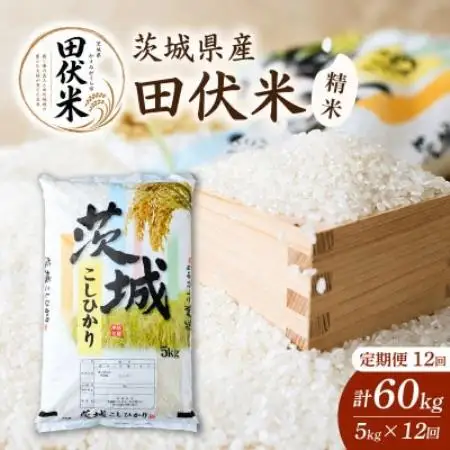 【毎月定期便】田伏米のコシヒカリ 精米5kg こしひかり かすみがうら市全12回【4093198】