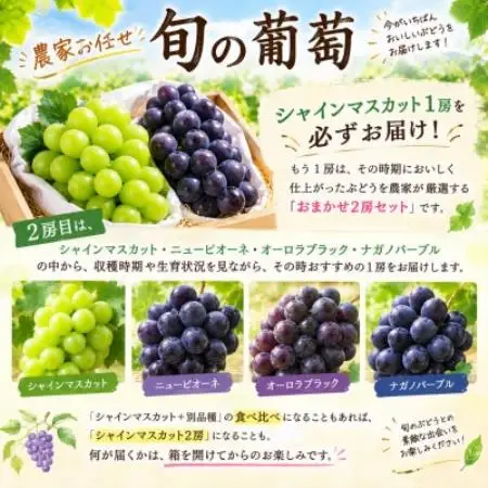 【家庭用】岡山県産葡萄詰め合わせ　計1.2kg(2房)【配送不可地域：離島】【1779446】