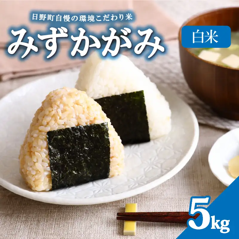 【令和8年産 新米】みずかがみ 5kg 白米 ミズカガミ お米 