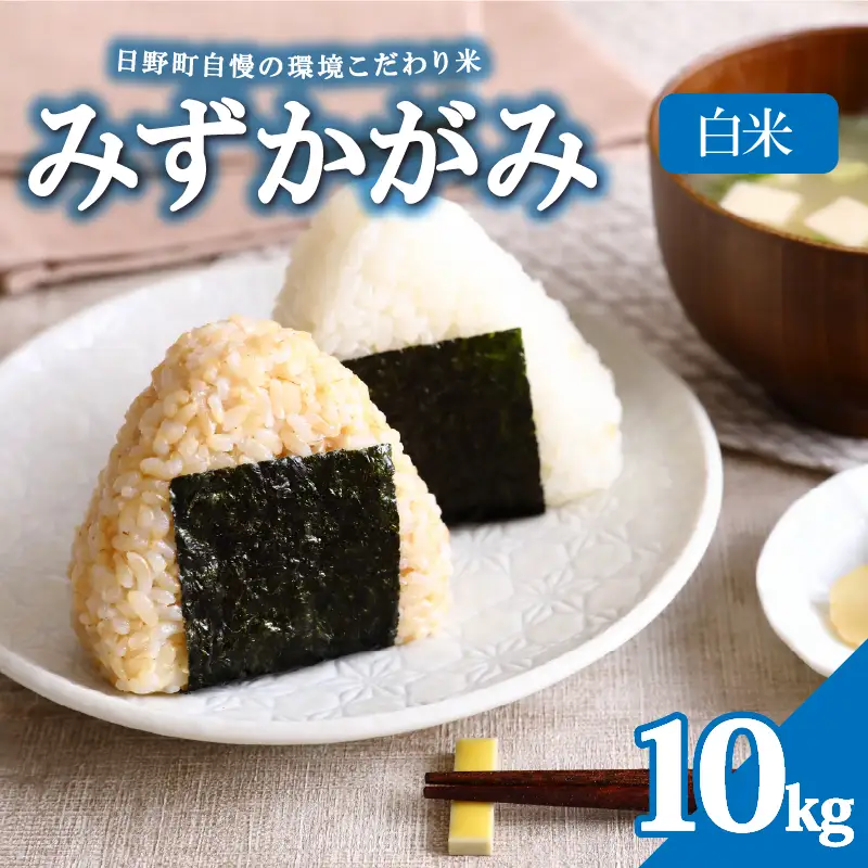 【令和8年産 新米】みずかがみ 10kg 白米 ミズカガミ お米 