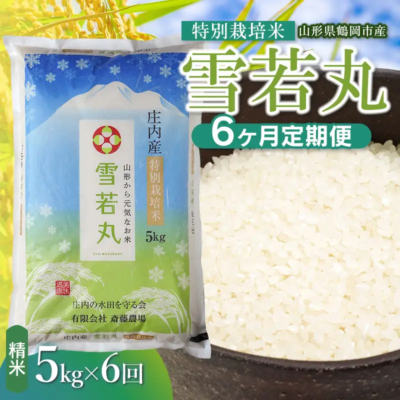 【令和8年産 新米】【定期便6ヵ月】特別栽培米 雪若丸 精米 5kg(5kg×1袋) 山形県鶴岡市 K-840 斎藤農場