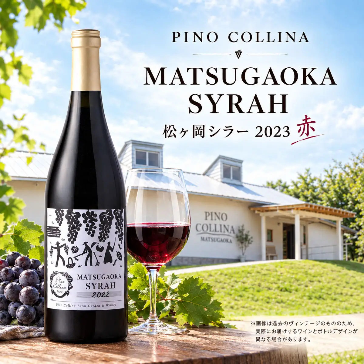ピノ・コッリーナ　松ヶ岡シラー 2023 赤ワイン 750ml　株式会社エルサン | 国産 日本ワイン