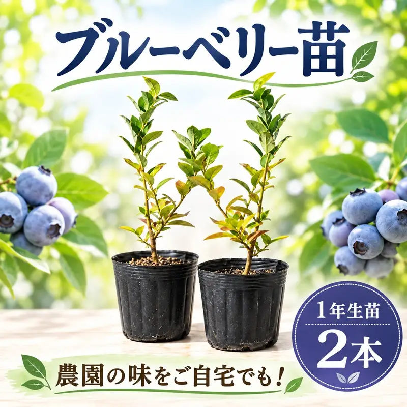 苗木 1年生 2本 【 ブルーベリー苗 】
