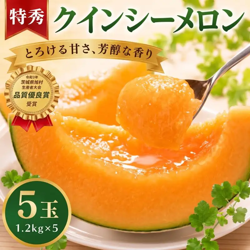 【2027年先行予約】 クインシーメロン 5玉 約6kg 赤肉メロン 特秀