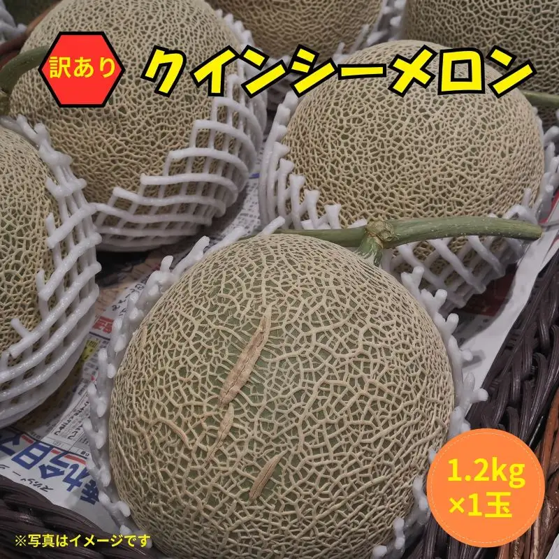 【2027年先行予約】 クインシーメロン 1玉 約1.2kg 赤肉メロン 訳あり