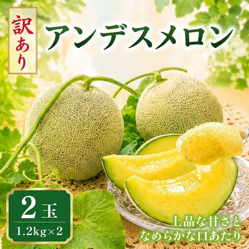 【2027年先行予約】 アンデスメロン 2玉 約2.4kg 青肉メロン 訳あり