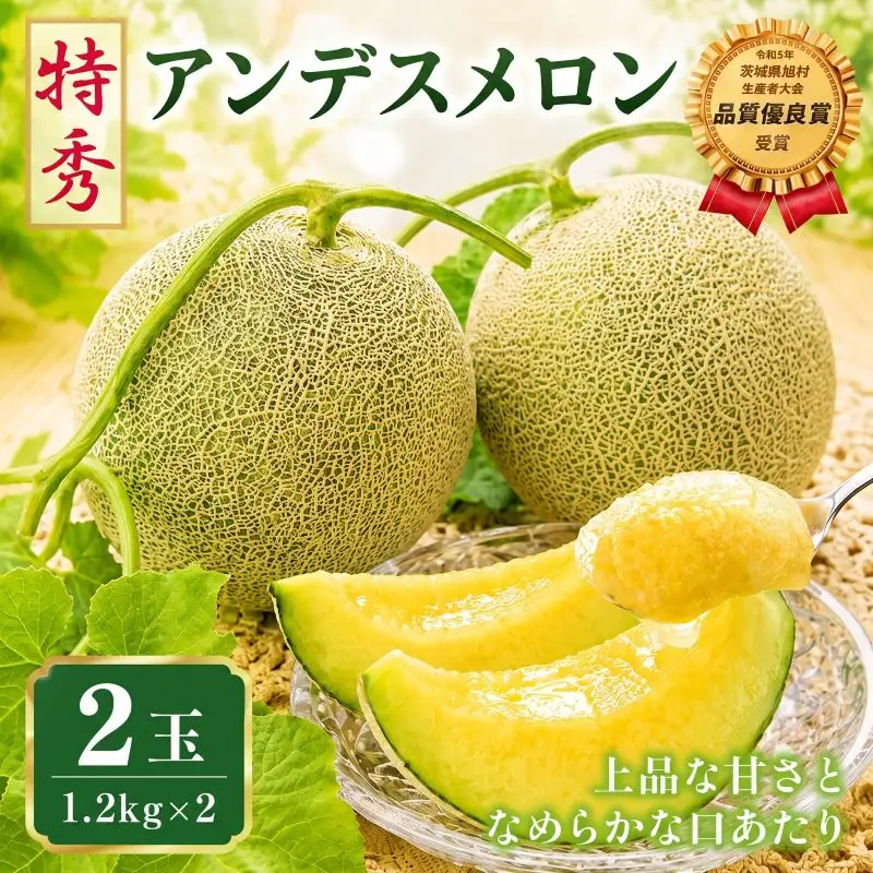 【2027年先行予約】 アンデスメロン 2玉 約2.4kg 青肉メロン 特秀