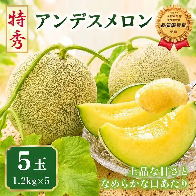 【2027年先行予約】 アンデスメロン 5玉 約6kg 青肉メロン 特秀