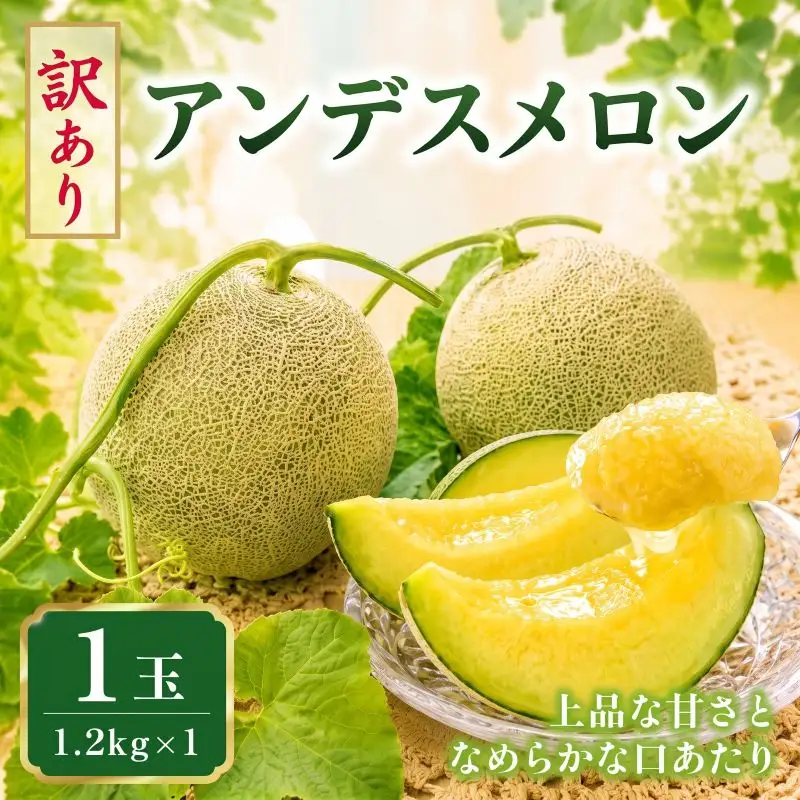 【2027年先行予約】 アンデスメロン 1玉 約1.2kg 青肉メロン 訳あり