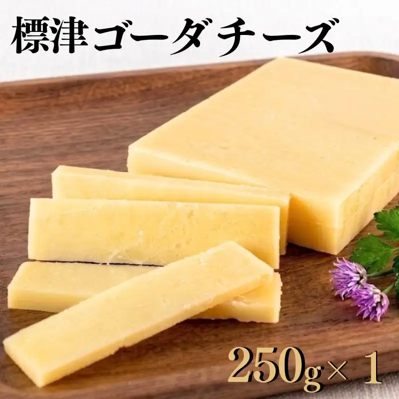 ゴーダチーズ 250g×1個 北海道産チーズ 【AE】