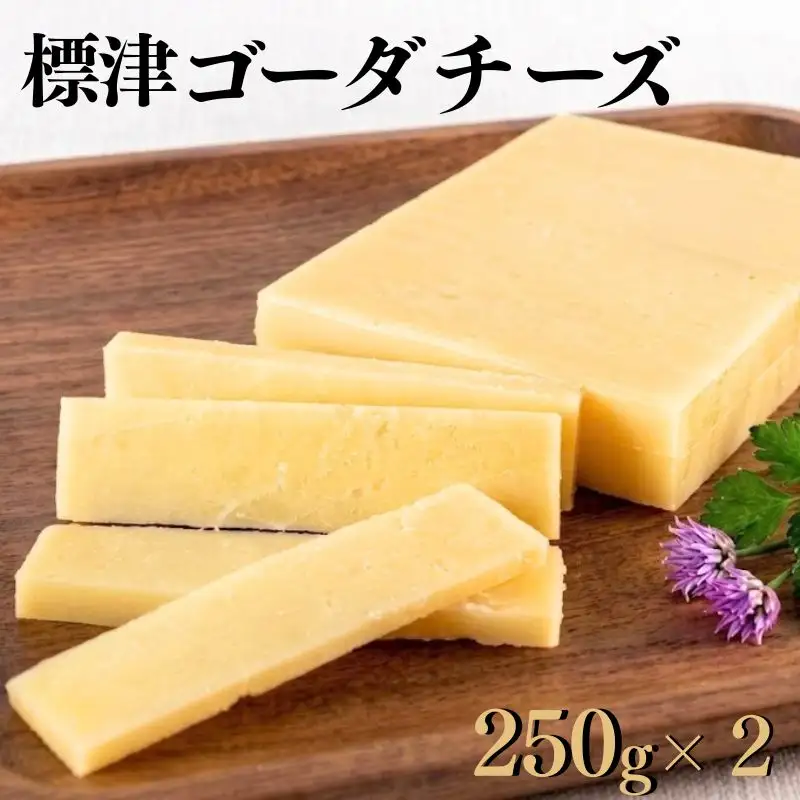 ゴーダチーズ 250g×2個 北海道産チーズ 【AE】