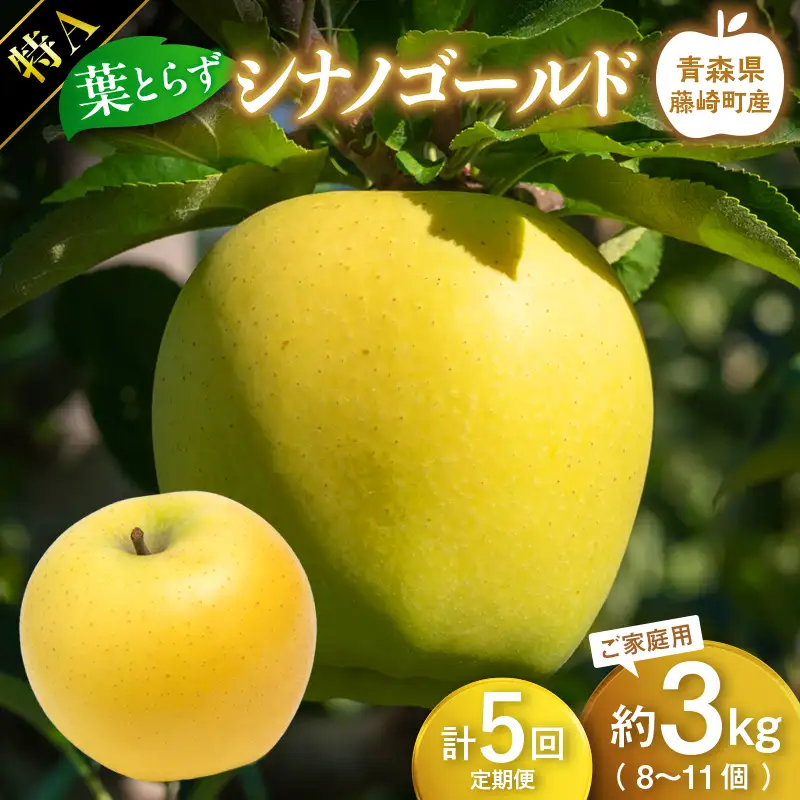 【先行予約】≪定期便≫シナノゴールド　特Aご家庭用　約3kg(8～11個) 合計5回【グランドアップル】 F41-0177