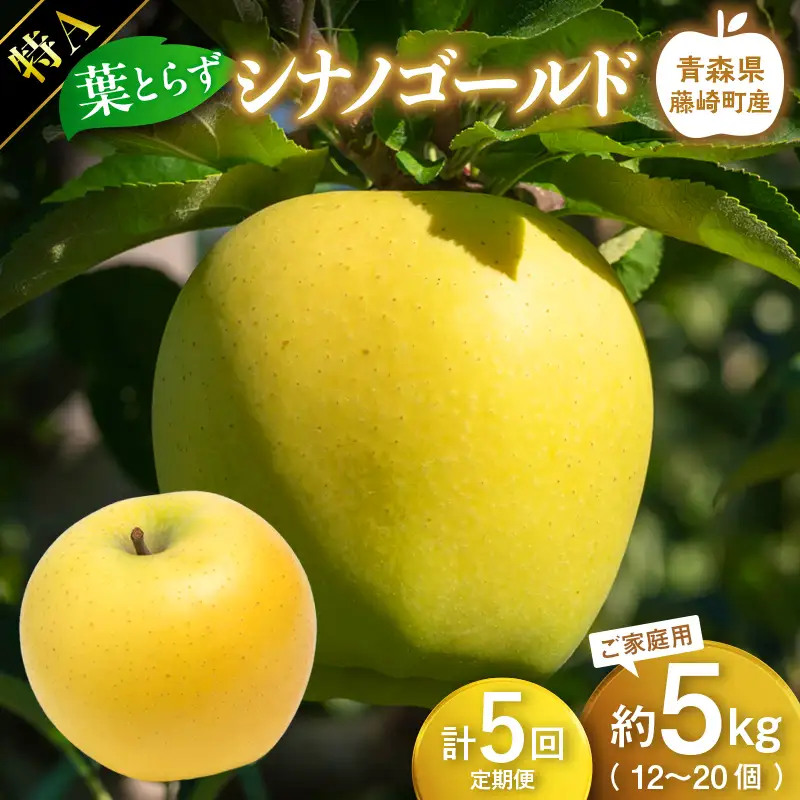 【先行予約】≪定期便≫シナノゴールド　特Aご家庭用　約5kg(12～20個) 合計5回【グランドアップル】 F41-0178