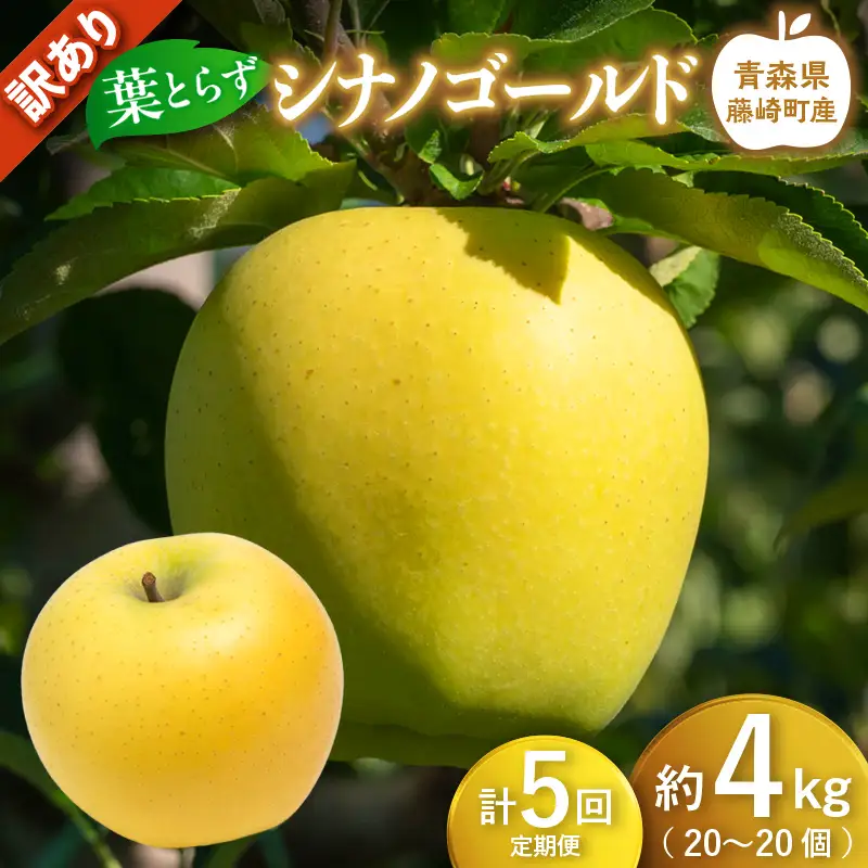 【先行予約】≪定期便≫シナノゴールド　訳あり　約4kg(10～20個) 合計5回【グランドアップル】 F41-0179