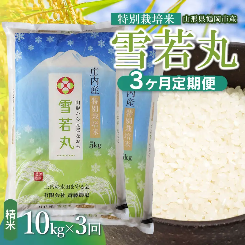 【令和8年産 新米】【定期便3ヵ月】特別栽培米 雪若丸 精米 10kg(5kg×2袋) 山形県鶴岡市 K-881 斎藤農場