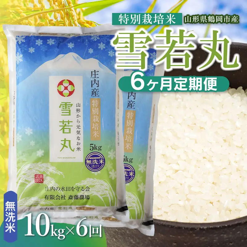 【令和8年産 新米】【定期便6ヵ月】特別栽培米 雪若丸 無洗米 10kg(5kg×2袋) 山形県鶴岡市 K-881 斎藤農場