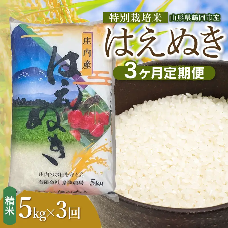 【令和8年産 新米】【定期便3ヵ月】特別栽培米 はえぬき 精米 5kg(5kg×1袋) 山形県鶴岡市 K-837 斎藤農場