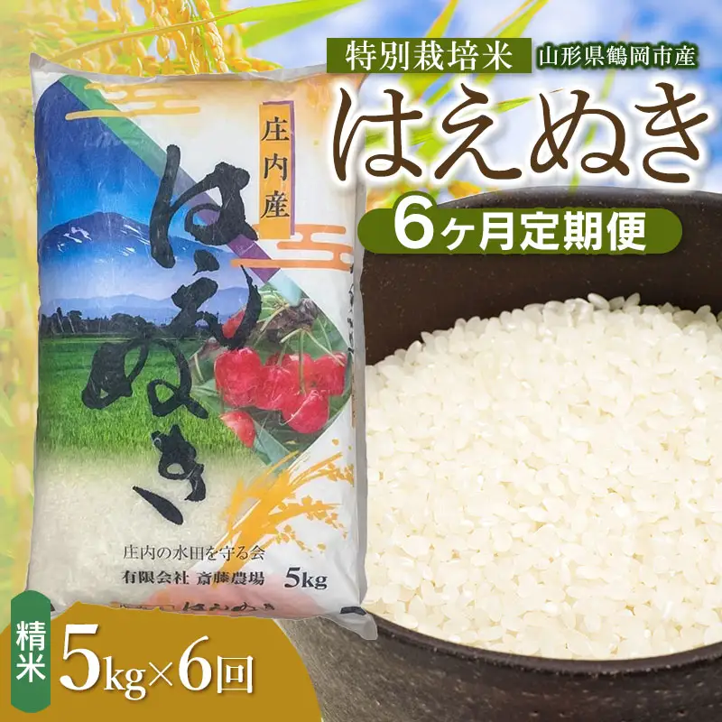【令和8年産 新米】【定期便6ヵ月】特別栽培米 はえぬき 精米 5kg(5kg×1袋) 山形県鶴岡市 K-837 斎藤農場