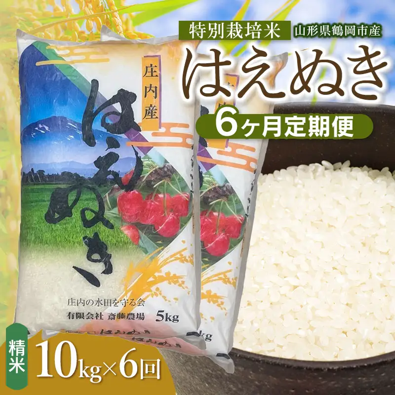 令和8年産 新米】【定期便6ヵ月】特別栽培米 はえぬき 精米 10kg(5kg×2