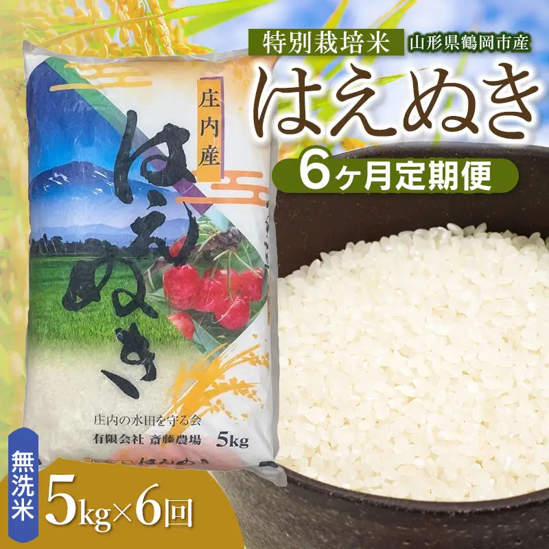 【令和8年産 新米】【定期便6ヵ月】特別栽培米 はえぬき 無洗米 5kg(5kg×1袋) 山形県鶴岡市 K-837 斎藤農場