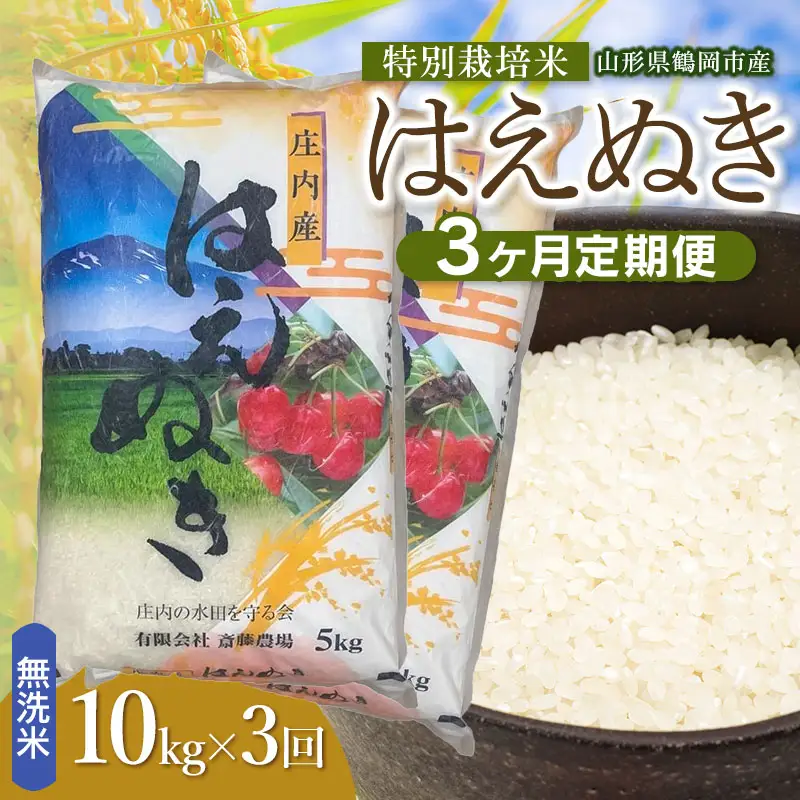 【令和8年産 新米】【定期便3ヵ月】特別栽培米 はえぬき 無洗米 10kg(5kg×2袋) 山形県鶴岡市 K-875 斎藤農場