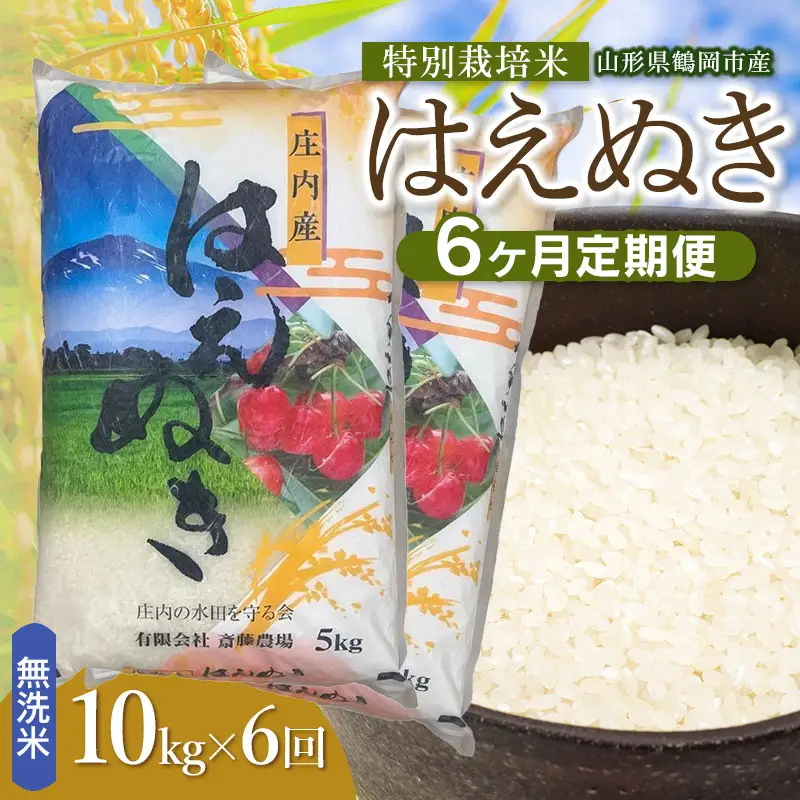 【令和8年産 新米】【定期便6ヵ月】特別栽培米 はえぬき 無洗米 10kg(5kg×2袋) 山形県鶴岡市 K-875 斎藤農場