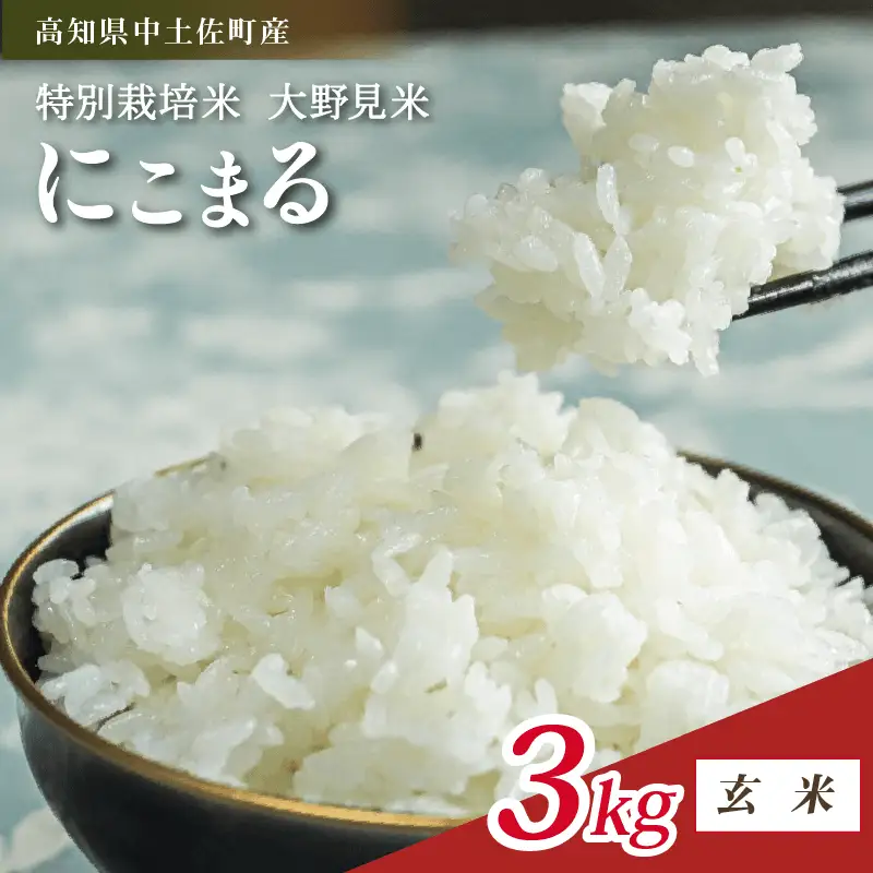 【令和8年産】【新米】 玄米 にこまる 3kg 大野見米