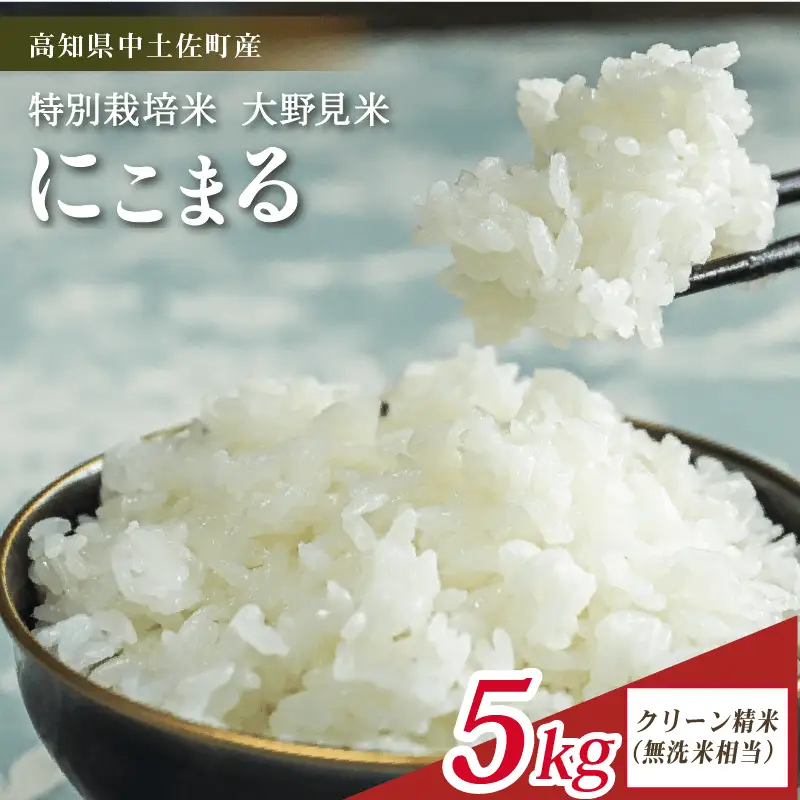 【令和8年産】【新米】   にこまる 5kg 無洗米 相当 大野見米